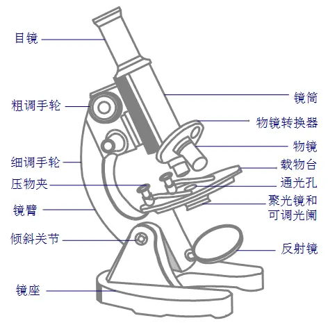 显微镜