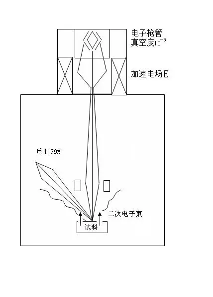 显微镜