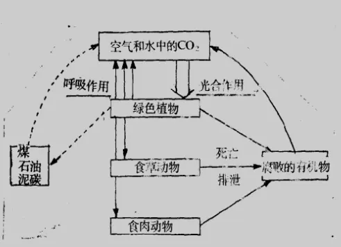 生物圈