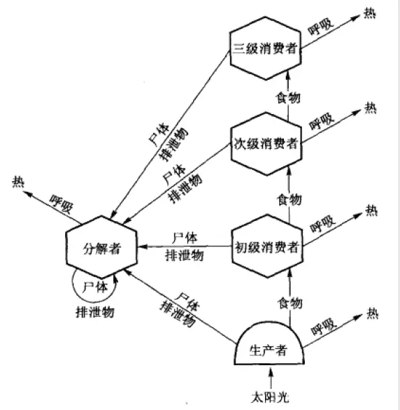 生物圈