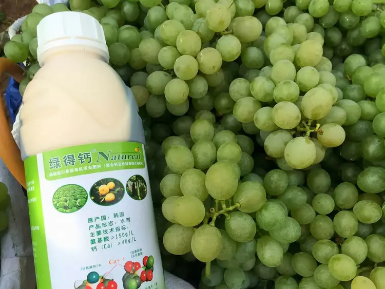 催熟激素