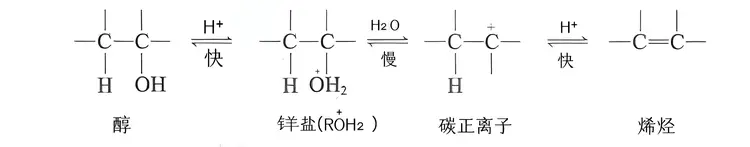 催化