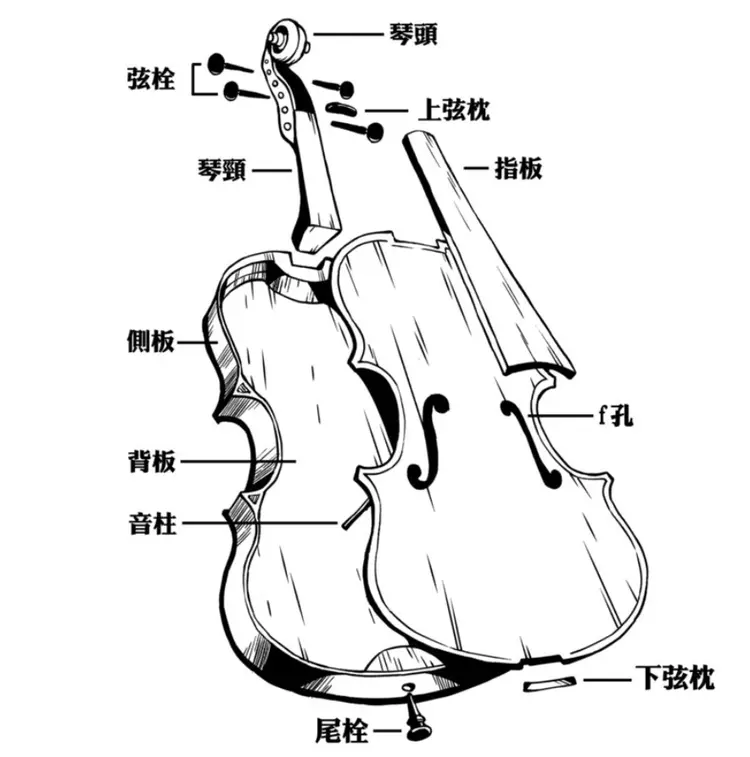 小提琴