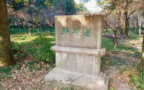 蒋陵