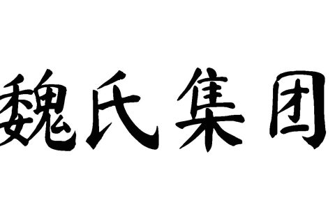 魏氏集团