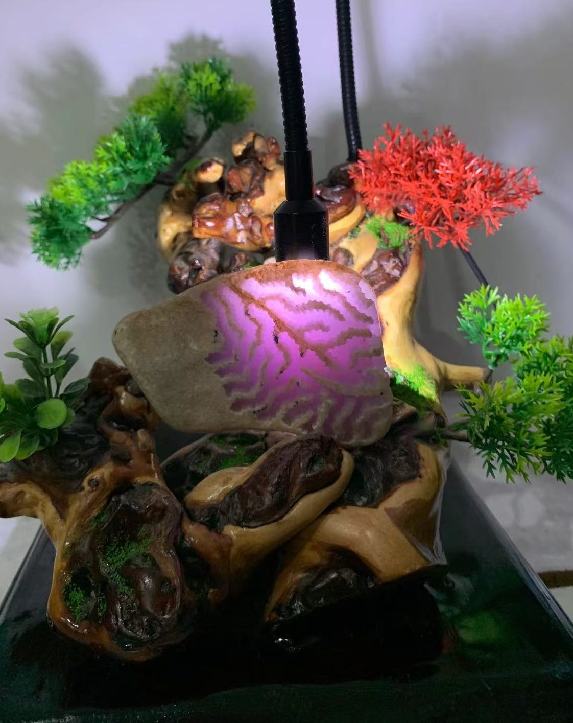 阿伟(翡翠主播)