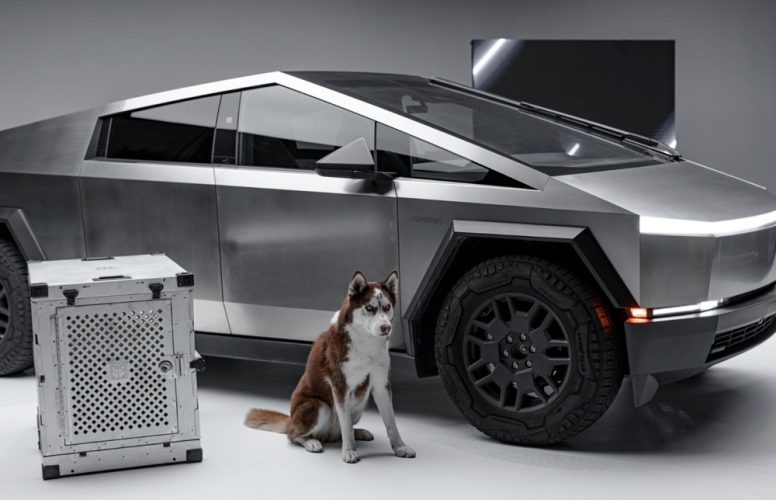 新能源汽车(移动智能储能终端)