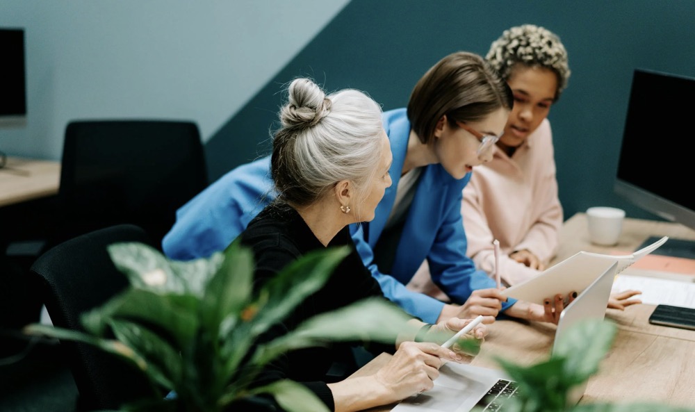 个人品牌(品牌类型)