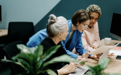 个人品牌(品牌类型)