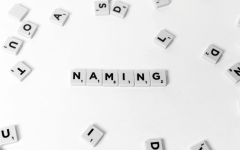 品牌命名(品牌识别系统)