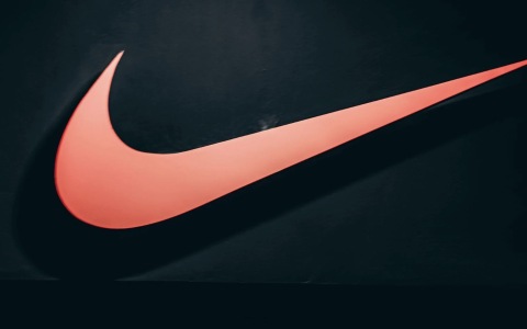 商标(品牌法律保护)